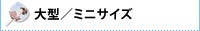 特殊タイプ