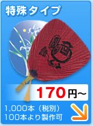 特殊タイプ