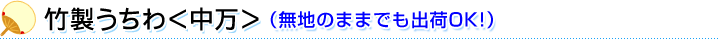 無地タイプ