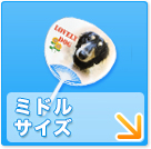大型