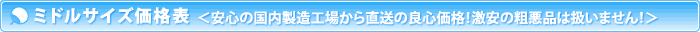 レギュラー価格表