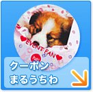 クーポン・NO入まるうちわ