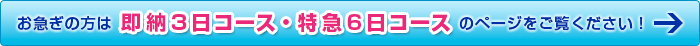 即納3日・特急6日コースの短納期ポリうちわもあります！